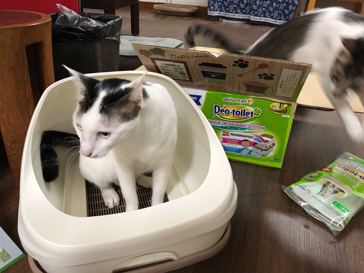 新しい物好きの甚五郎が入ってみる