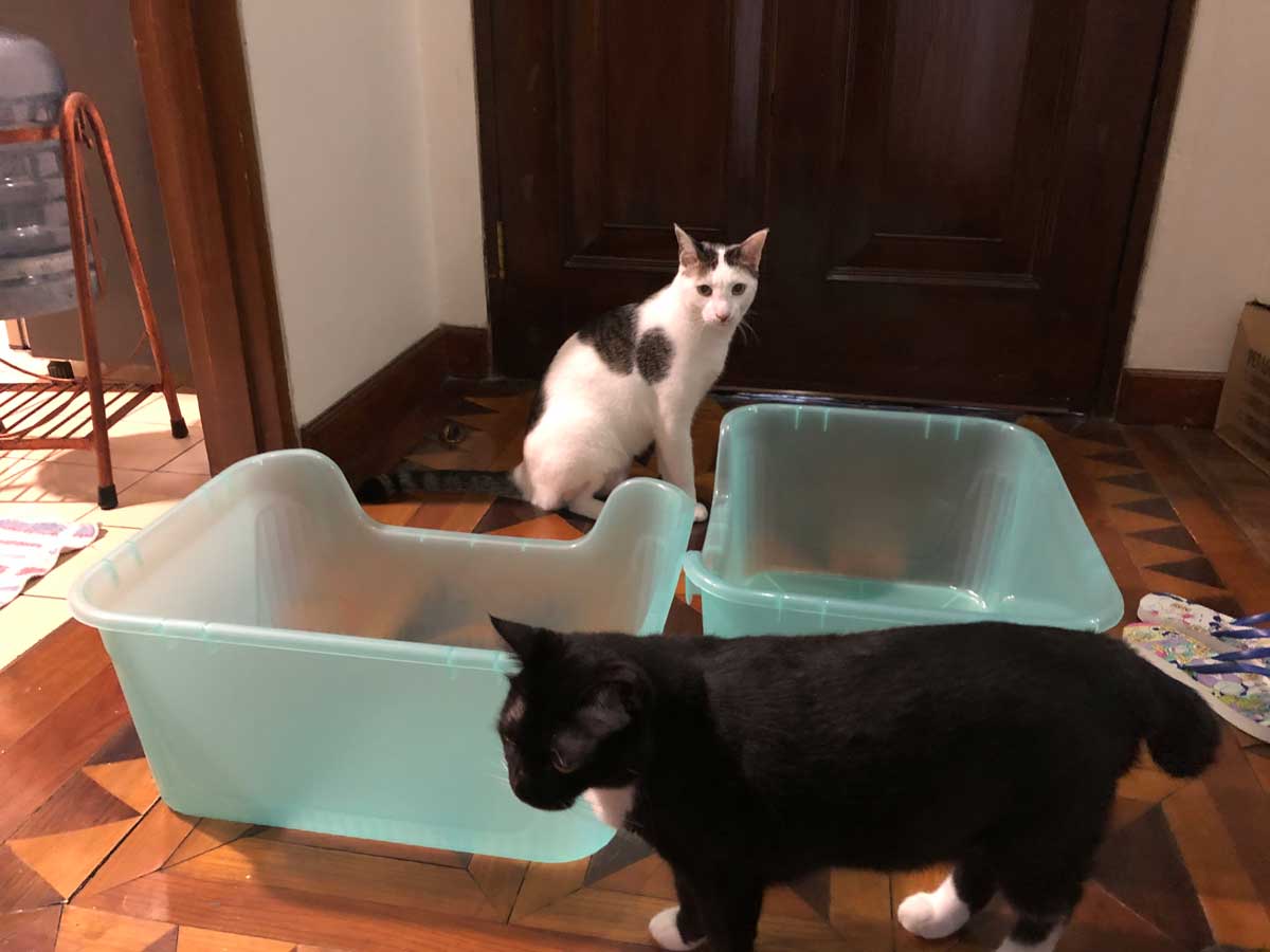 「ジャンボ」のトイレが届いたよ