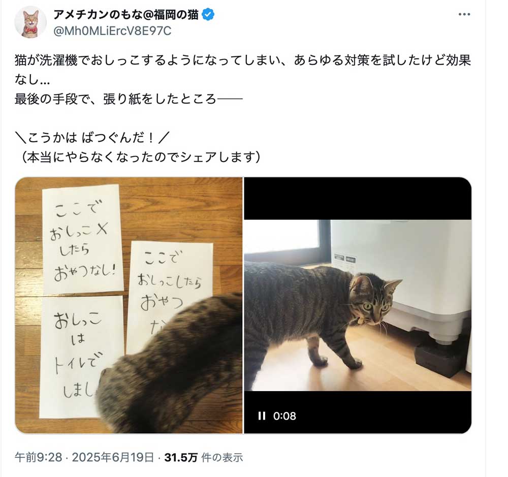 Xの投稿