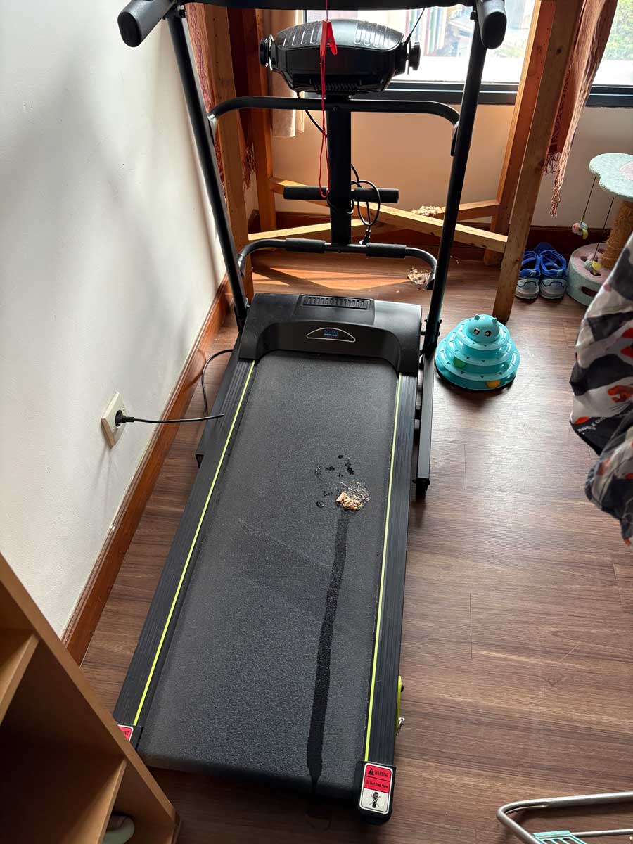 トレッドミルの上に。これはどういう状況??