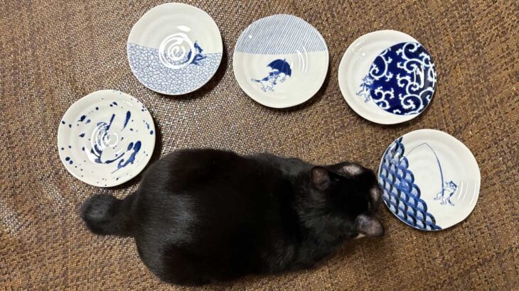 「日本の伝統文様＋ねこ」の皿