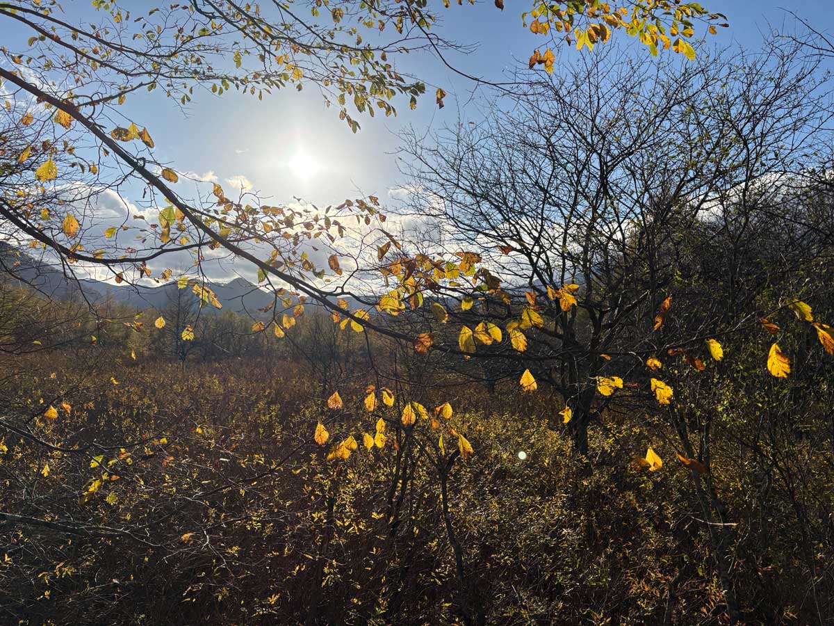 日光・戦場ヶ原