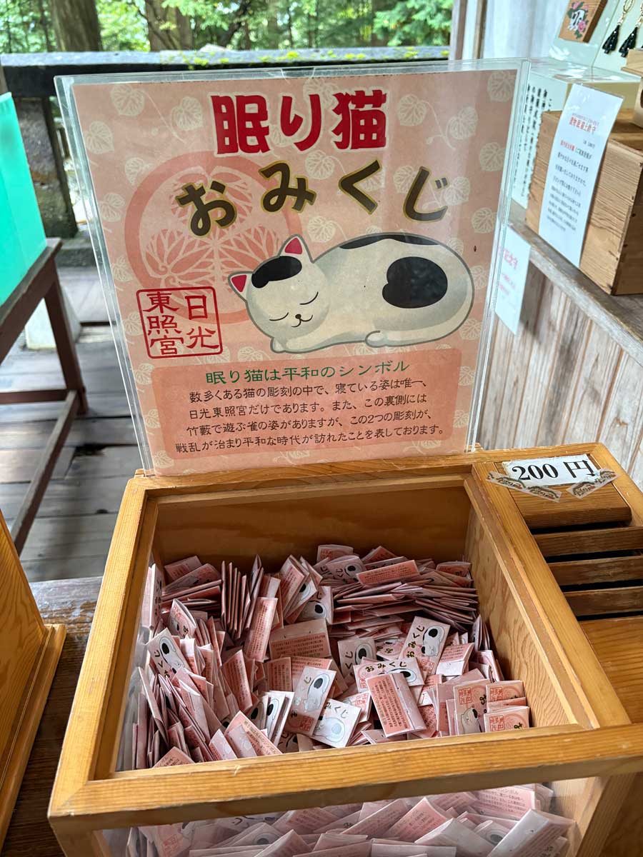 眠猫のおみくじ