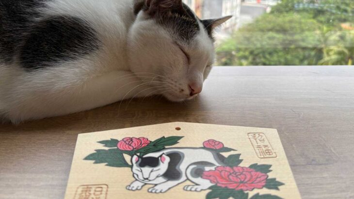 日光の眠猫に会いに行く