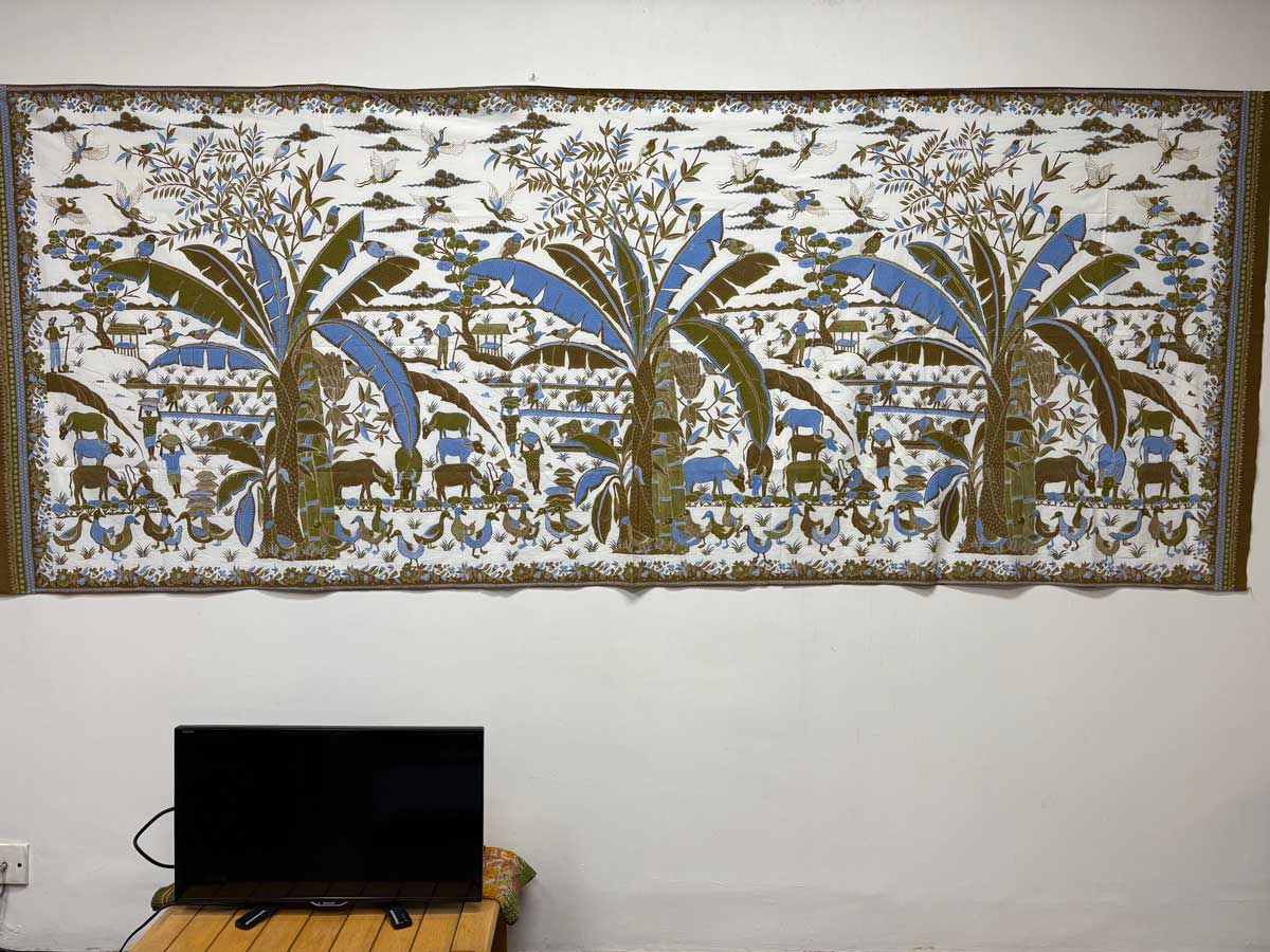 3本のバナナの木が並ぶ