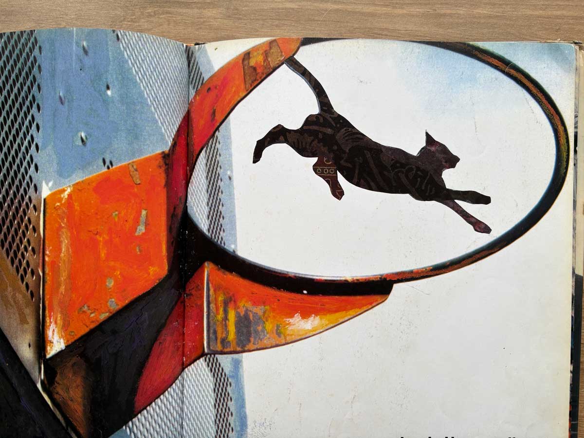 スラムダンクの黒ねこ。格好いい！