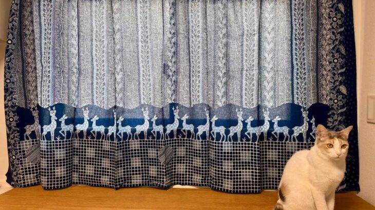 インドラマユのチャップ・バティック