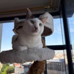 甚五郎のピックアップデー・パーティー、サプライズのプレゼントは?!