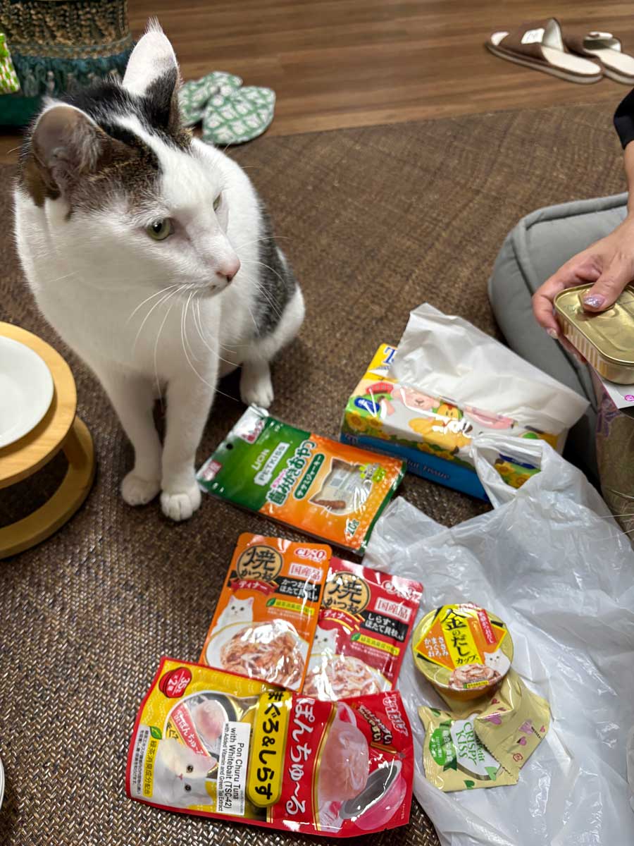 これ全部、甚五郎のおやつだよ！