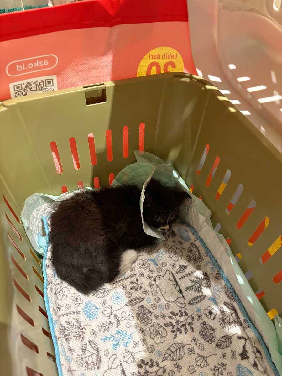 やっと家に着いた
