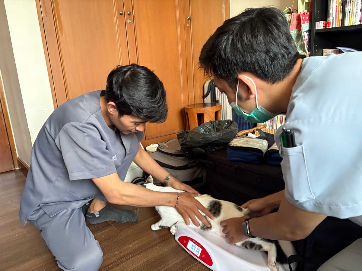 体重を計る