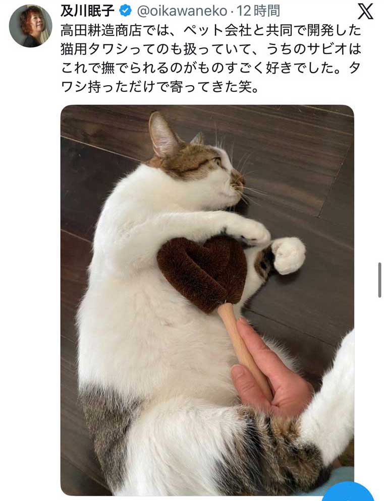 ツイッター（X）で見かけた投稿