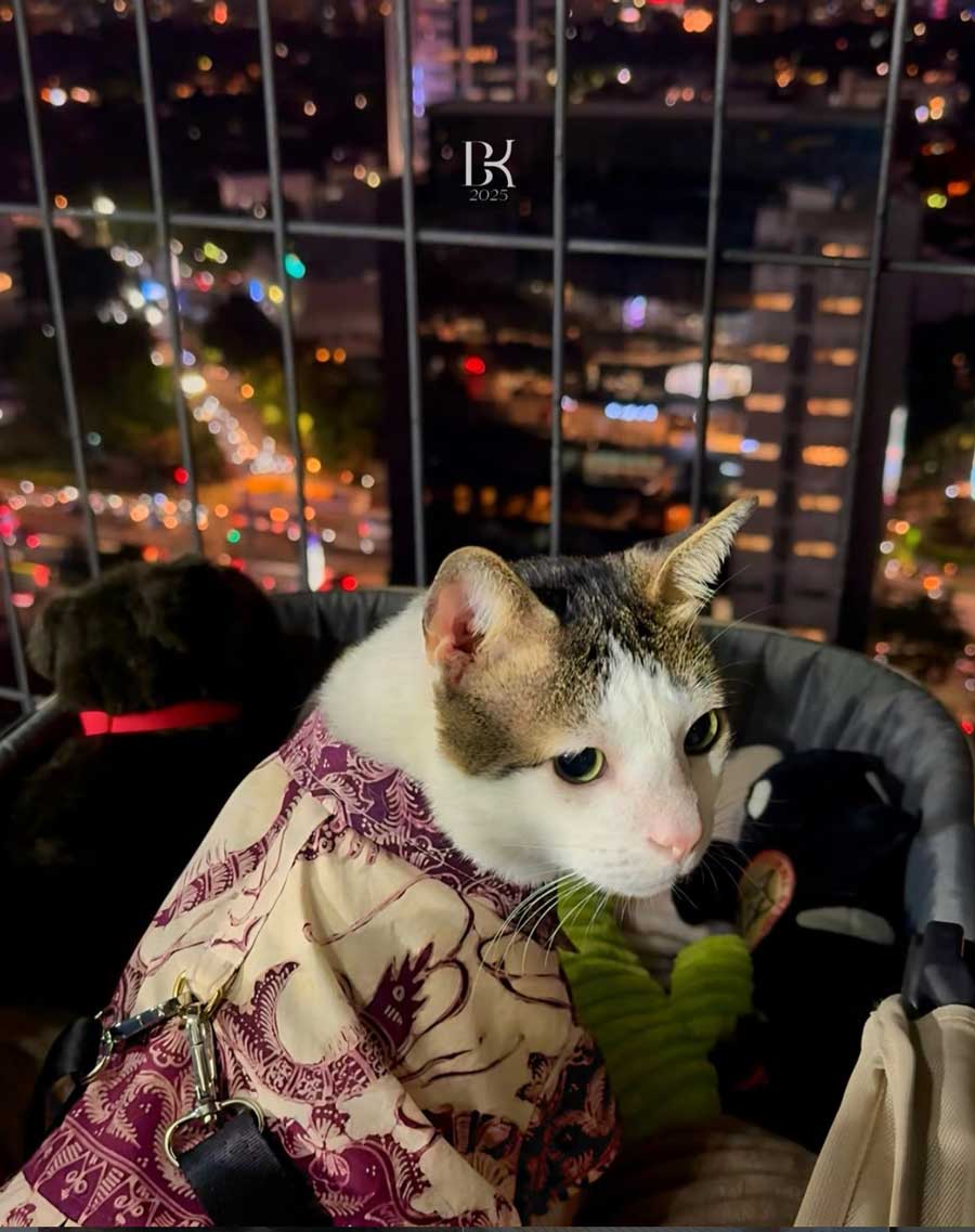 持っている服は豊富。これはバティック